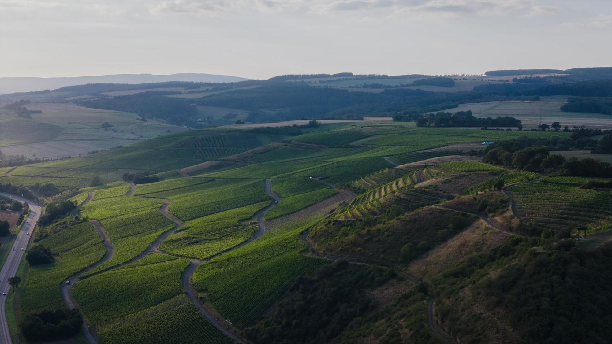 Weingut Und Gaestehaus Holger Alt Monzingen Exterior foto